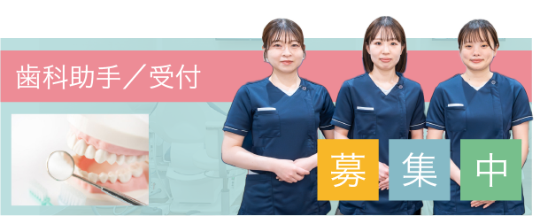 歯科助手／受付募集中