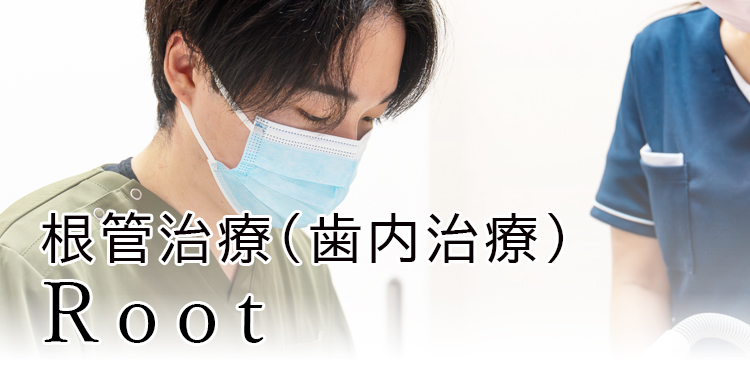 機能的な歯内治療 痛みの防止と残した歯の価値を高めるために 根管治療とは - 極力歯を抜かない、歯の神経の治療（歯内療法